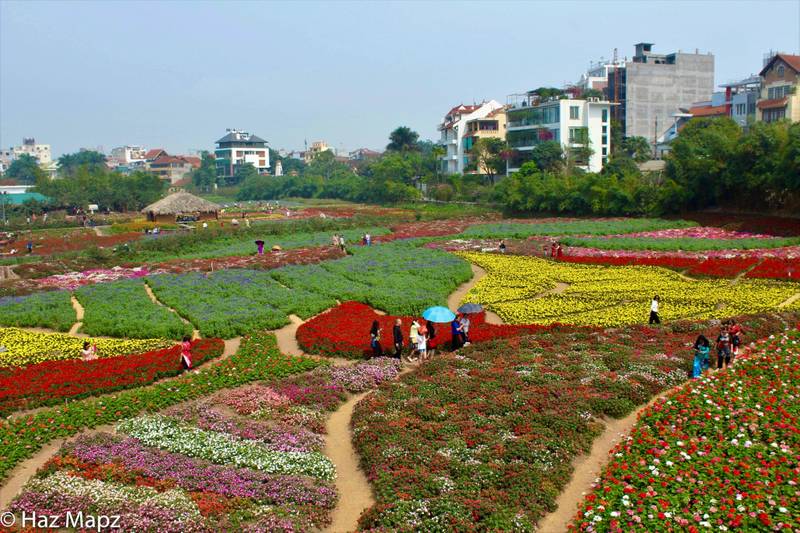Ho Tay Flower Valley 