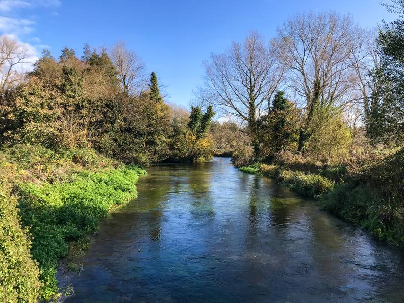 The River Itchen 