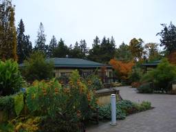 UBC Botanical Garden