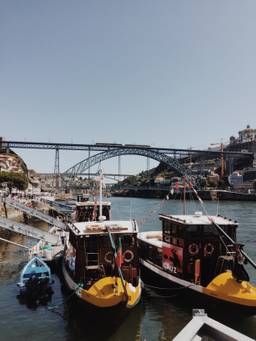Douro Cruise in Porto